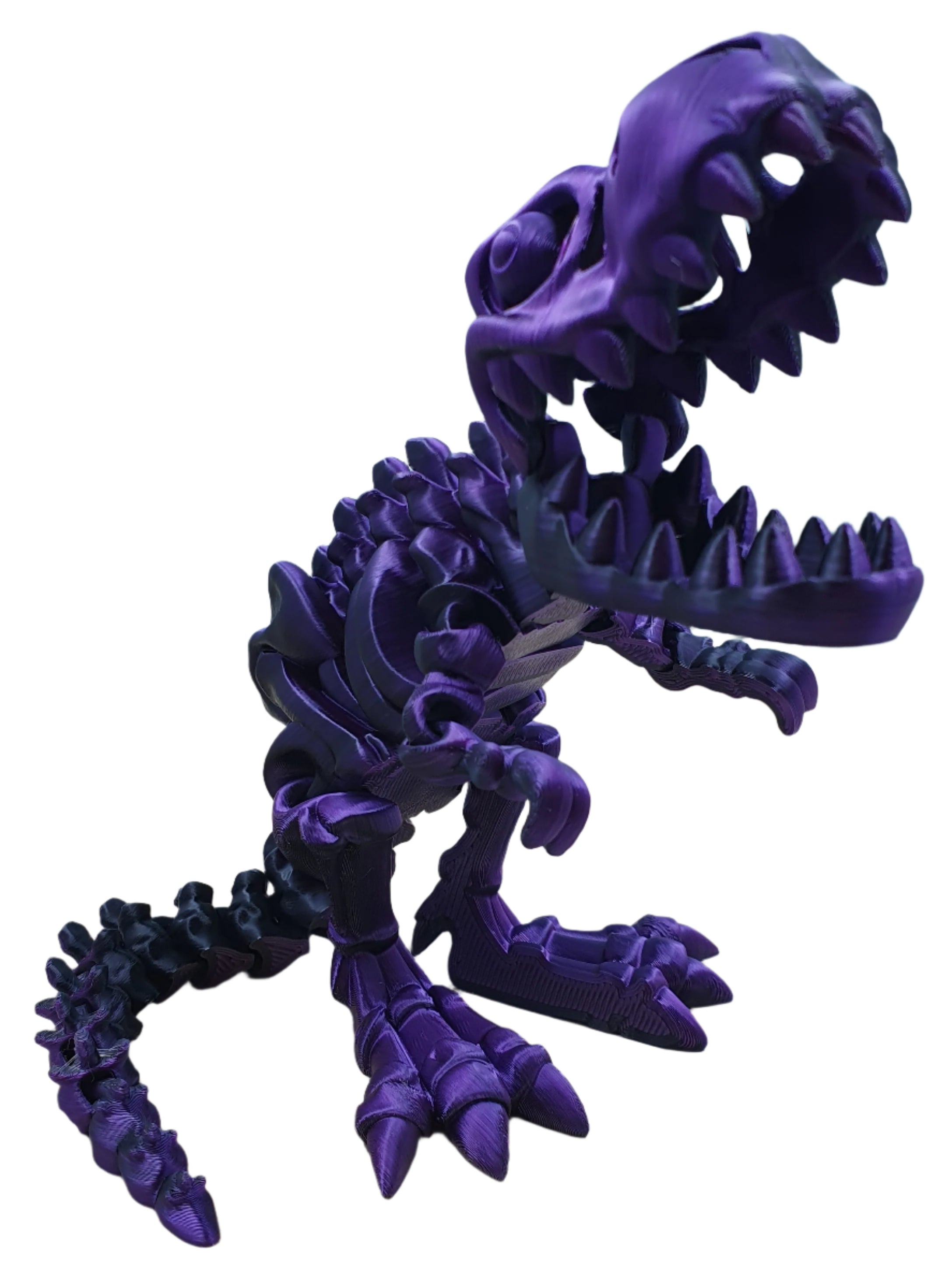 Skeleton T-Rex