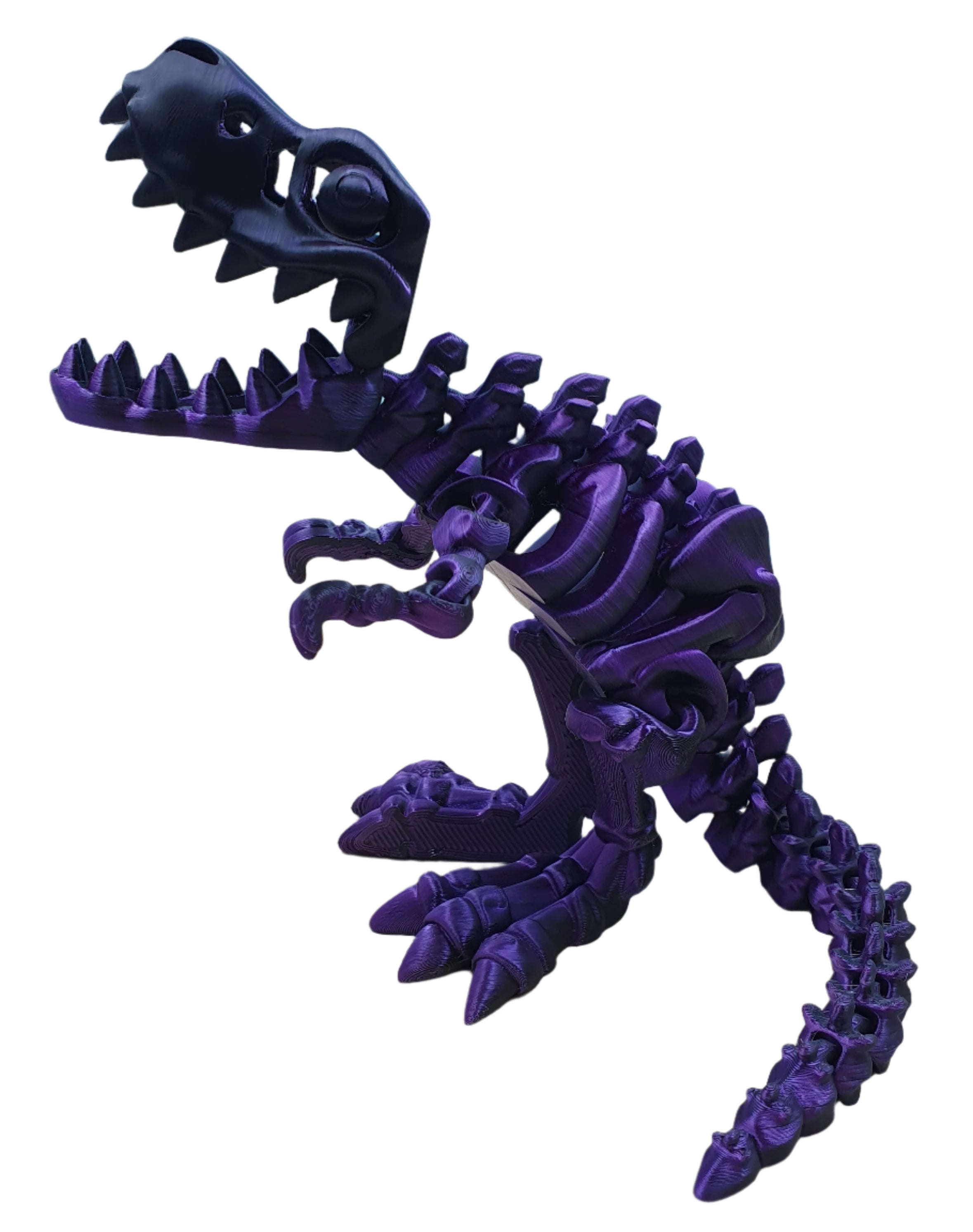 Skeleton T-Rex