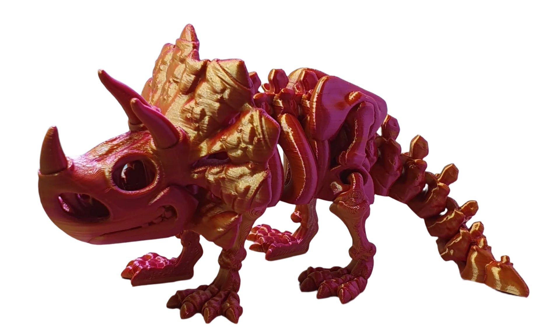 Triceratops Skeleton