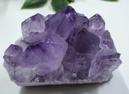 Amethyst Cluster #2