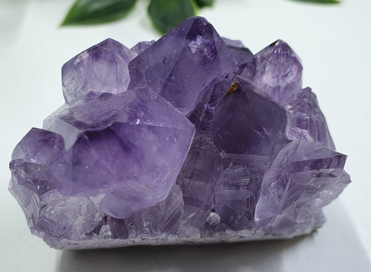 Amethyst Cluster #2