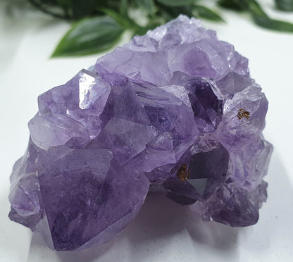 Amethyst Cluster #2