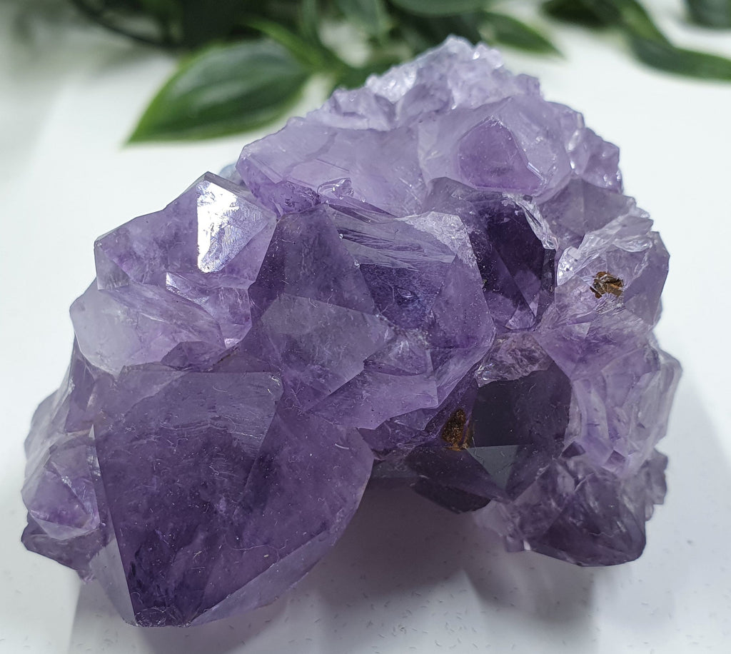 Amethyst Clusters