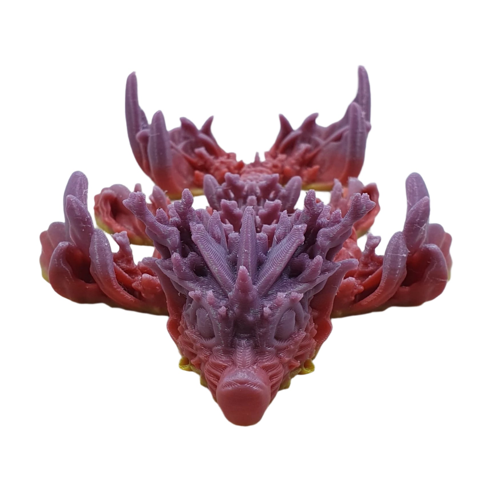 Baby Coral Reef Dragon