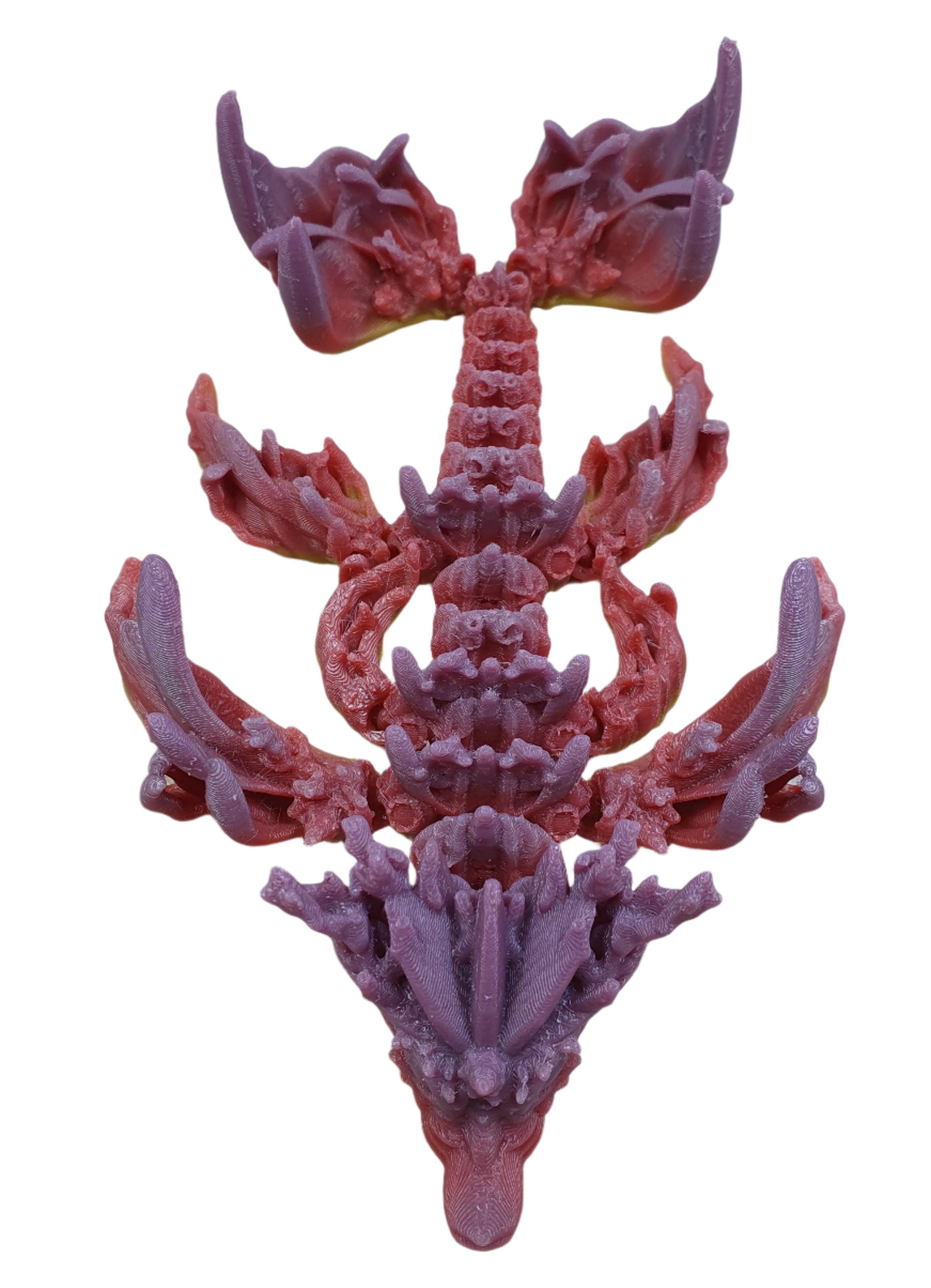 Baby Coral Reef Dragon