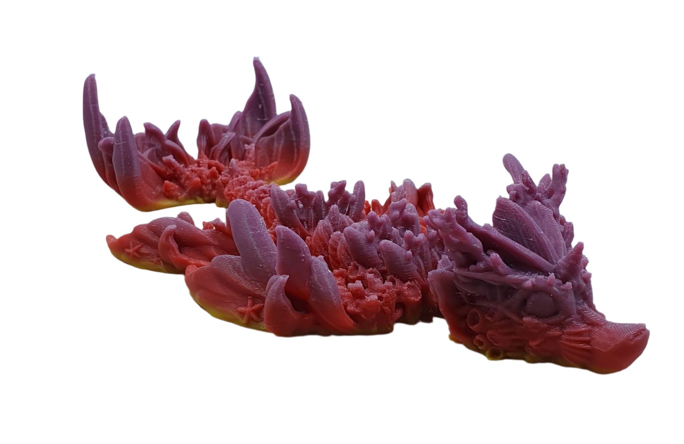 Baby Coral Reef Dragon
