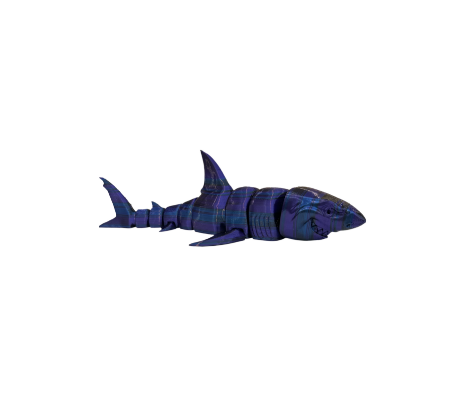 Great White Sharks