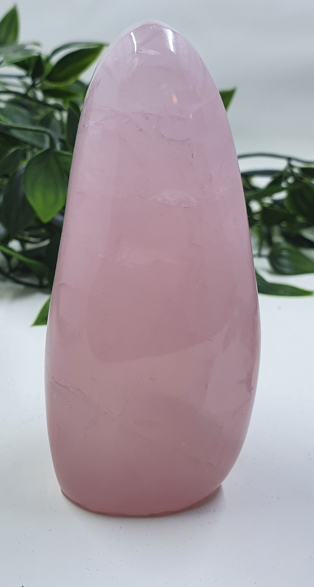 Rose Quartz Freeform