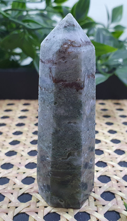 Moss Agate Point #1