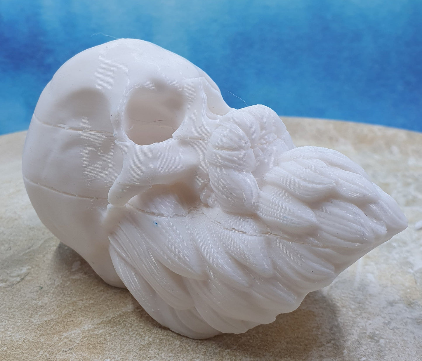 Pirate Skull #2