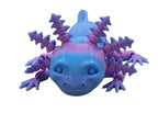 Baby Axolotls