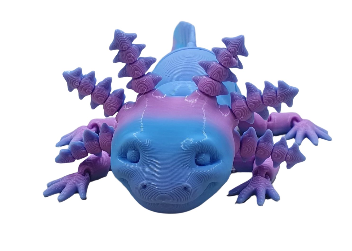 Baby Axolotls