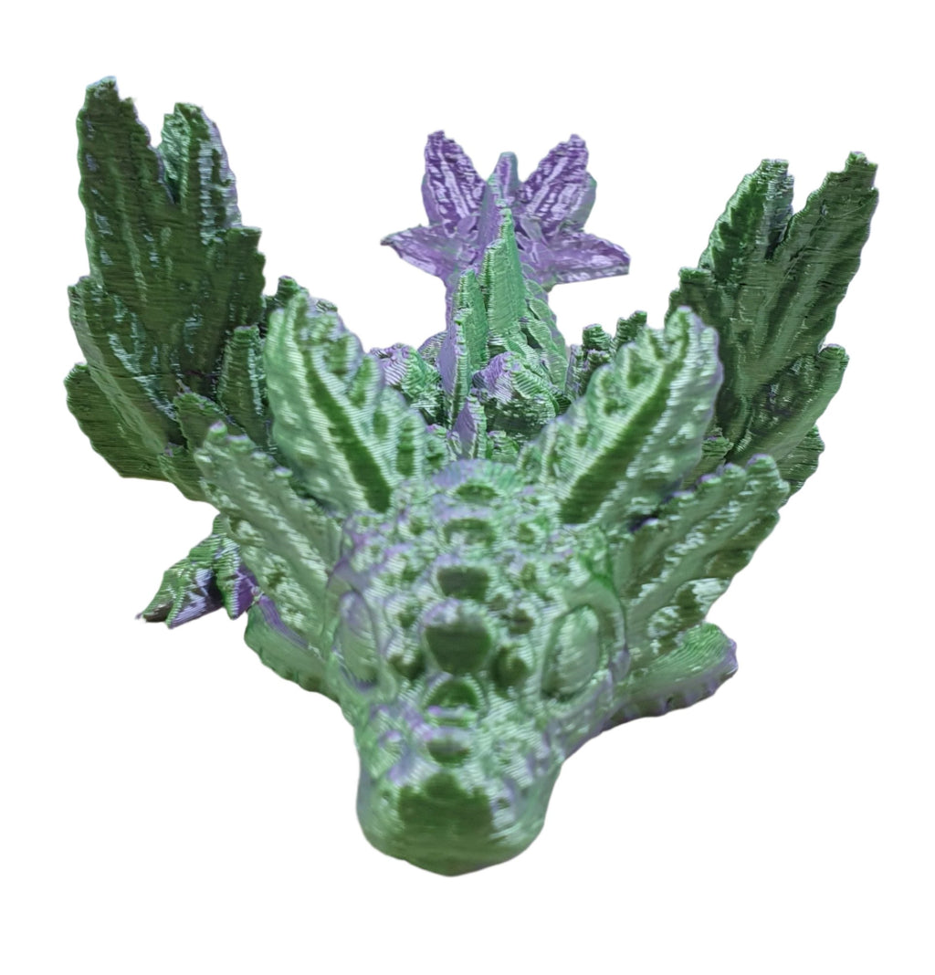 Baby Axolotl Winged Dragons