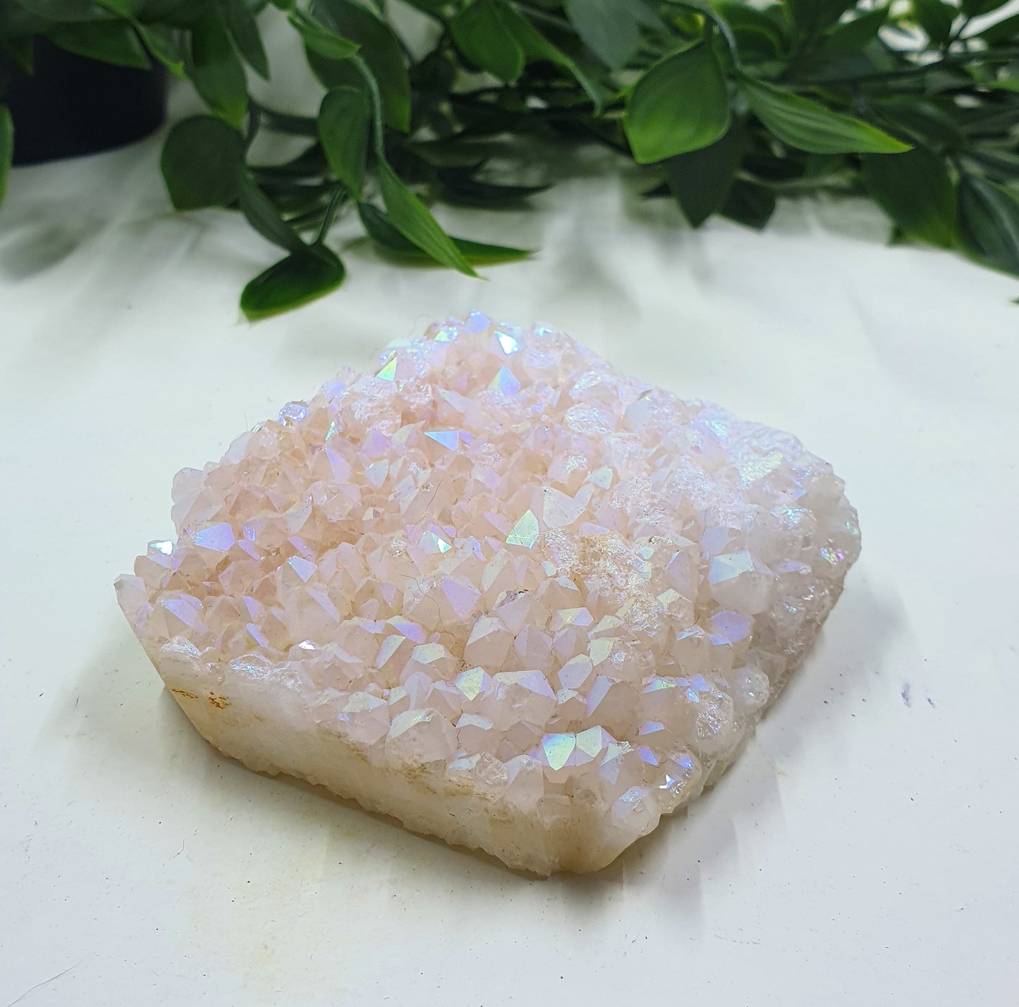 Angel Aura Freeform #1