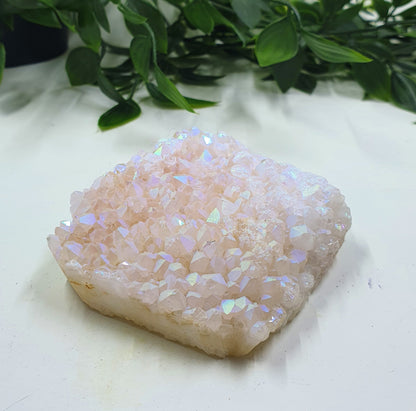 Angel Aura Freeform #1