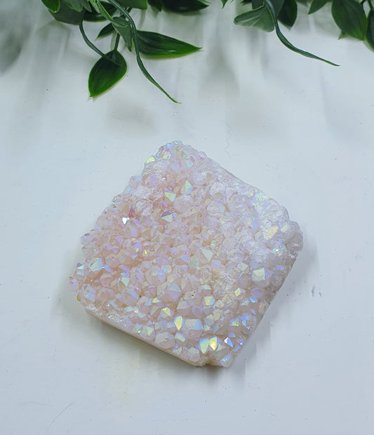 Angel Aura Freeform #1