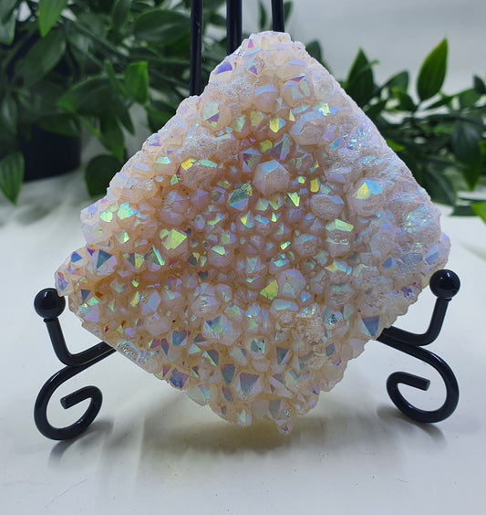 Angel Aura Freeform #1