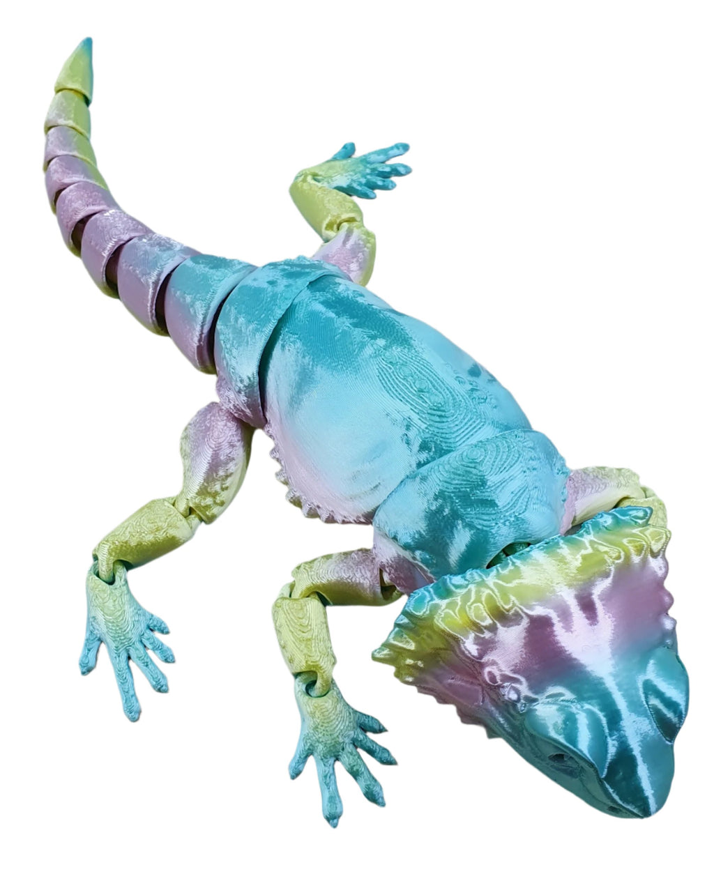 Bearded Dragons