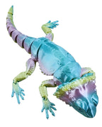 Bearded Dragons