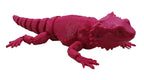 Baby Bearded Dragons