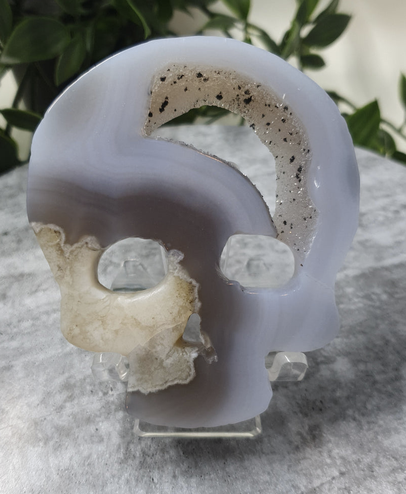 Druzy Agate Skull #2