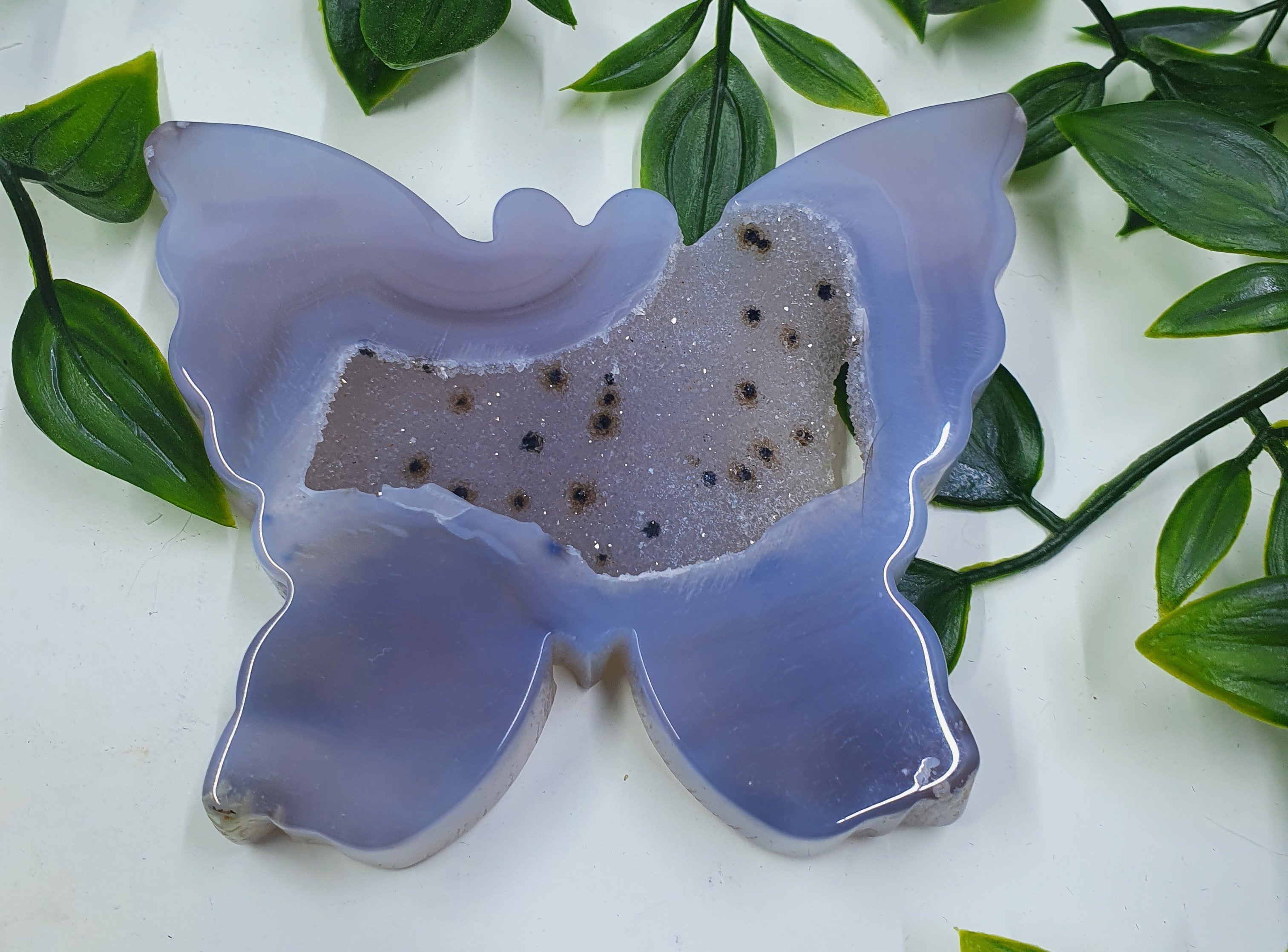 Druzy Agate Butterfly #2