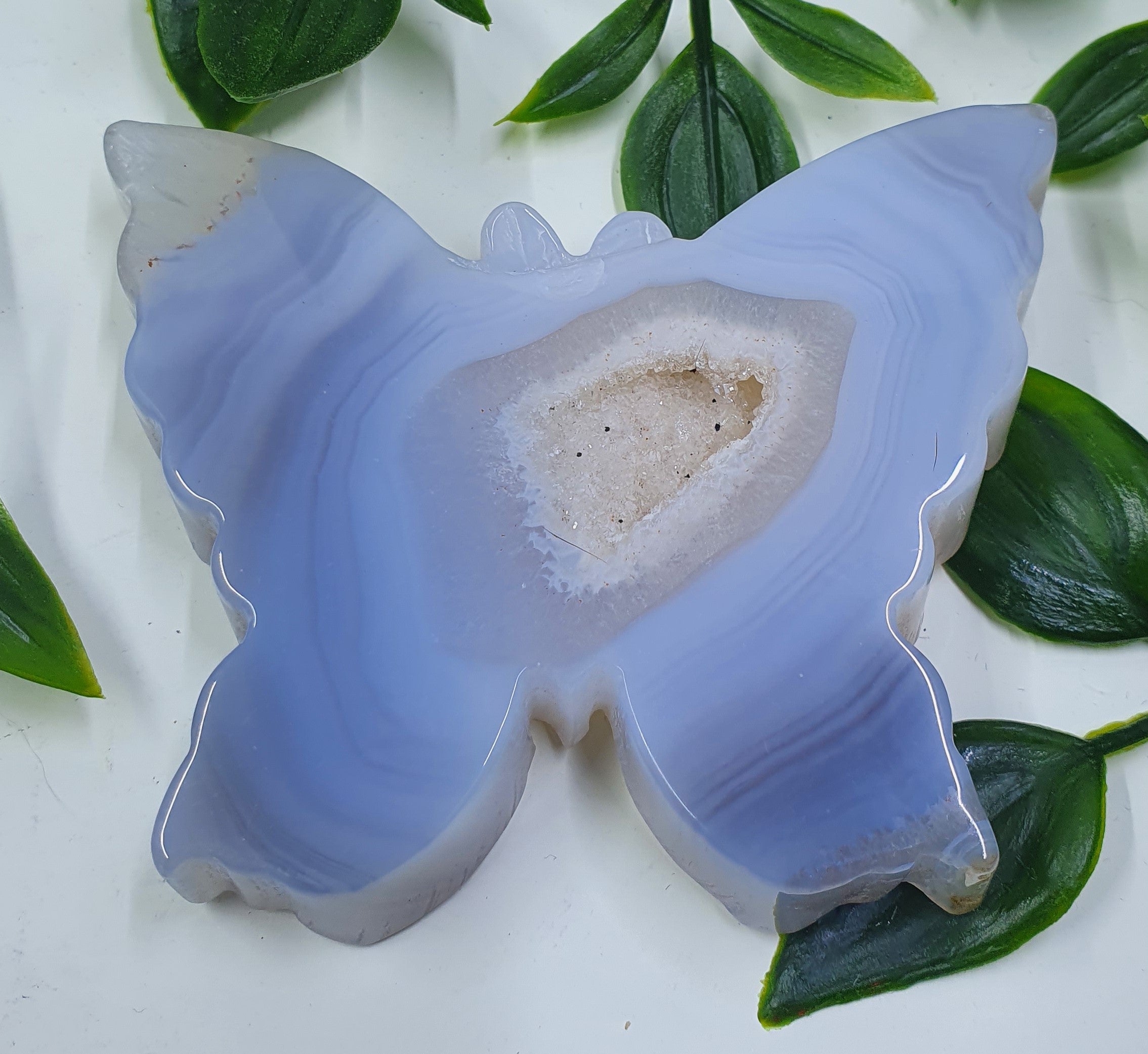 Druzy Agate Butterfly #3