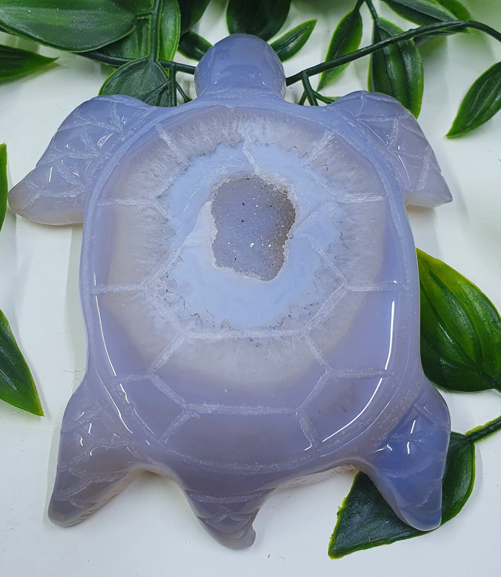 Druzy Agate Turtle #2