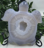 Druzy Agate Turtle #2