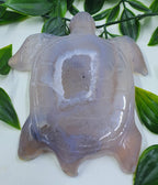 Druzy Agate Turtle #3