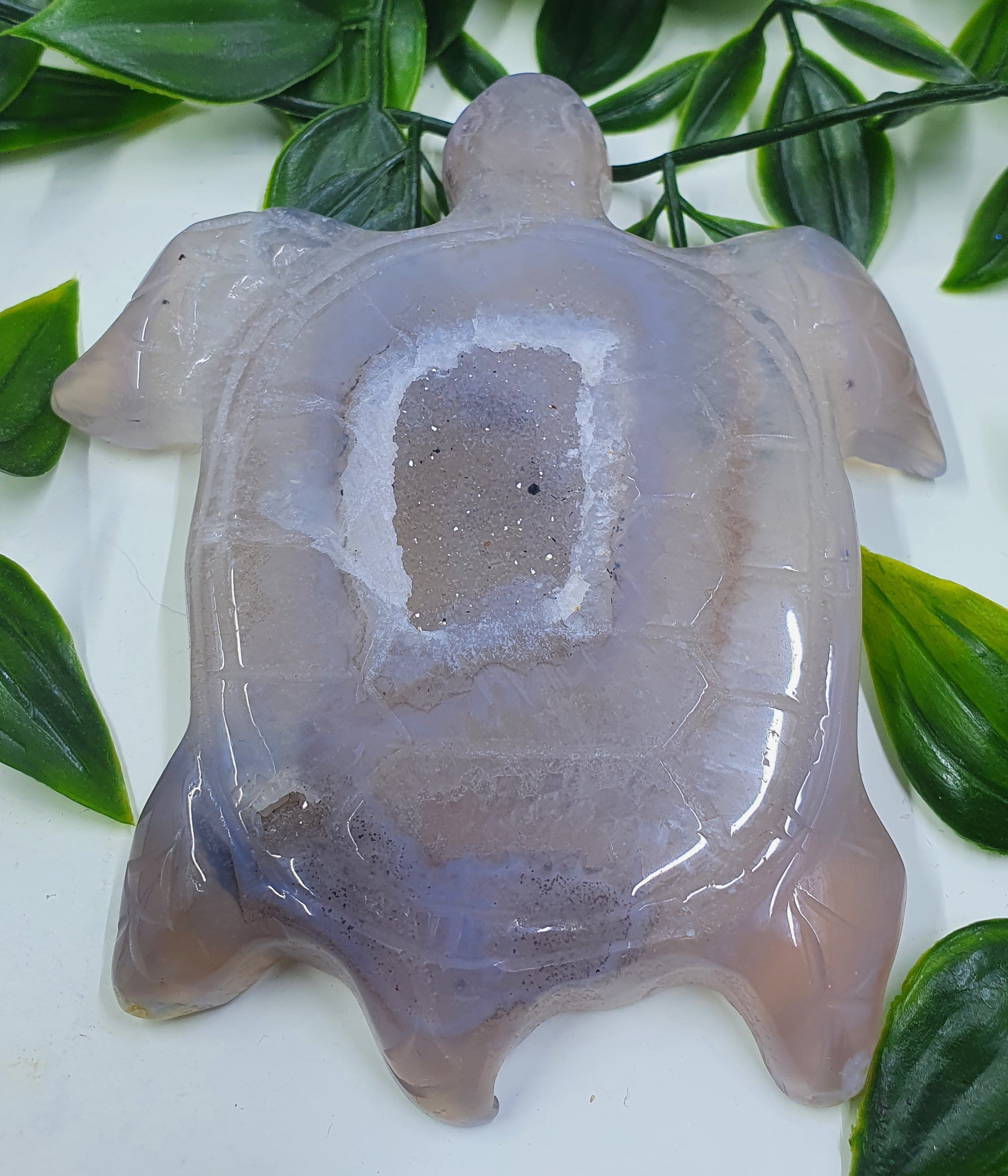 Druzy Agate Turtle #3