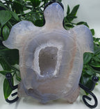 Druzy Agate Turtle #3