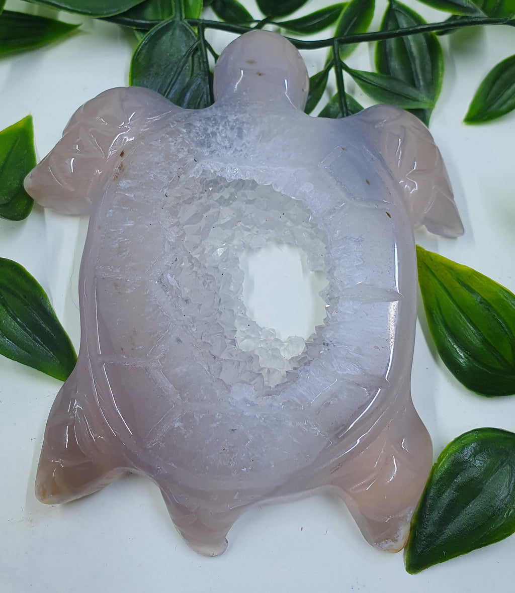 Druzy Agate Turtle #4