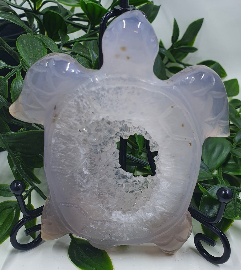 Druzy Agate Turtle #4