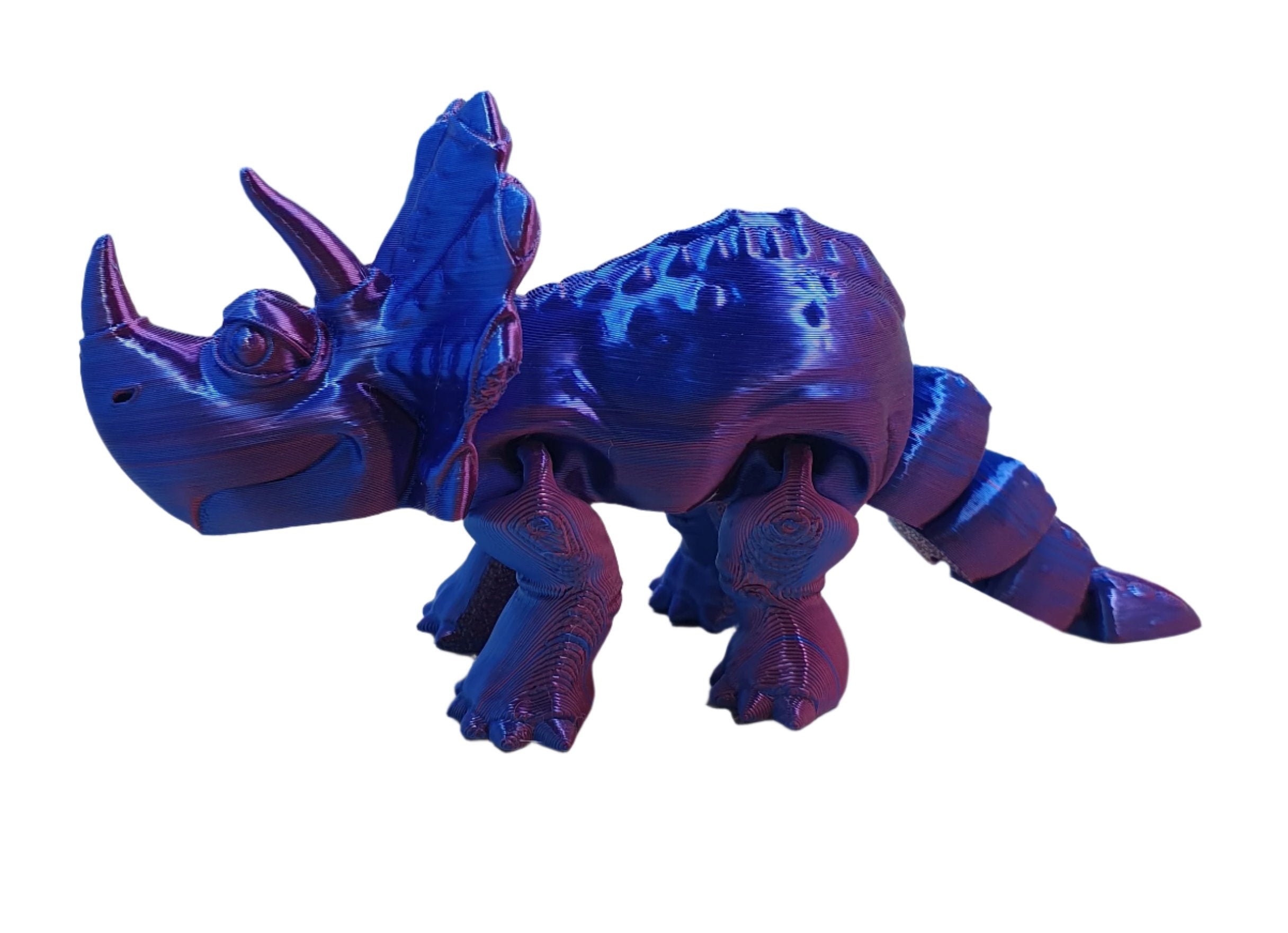 Baby Triceratops