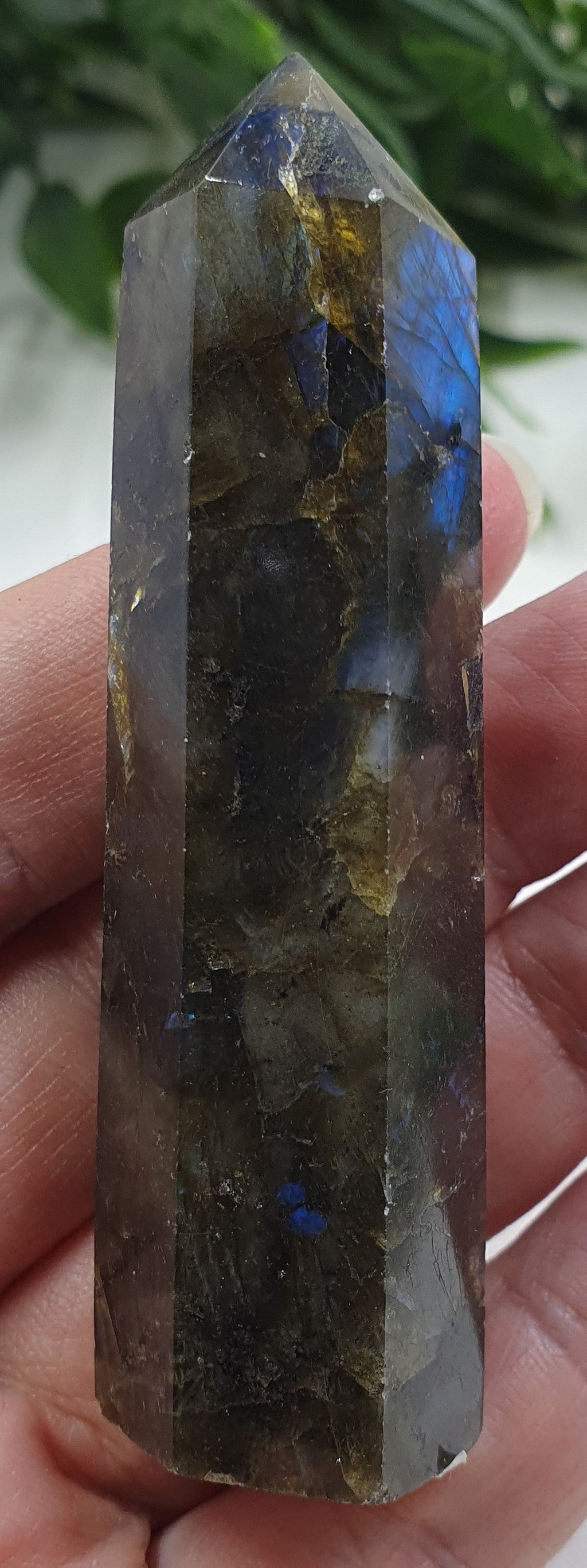 Labradorite Points #7