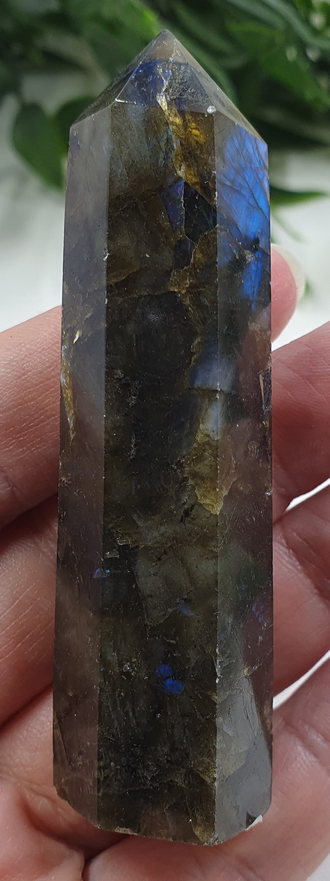 Labradorite Points #7