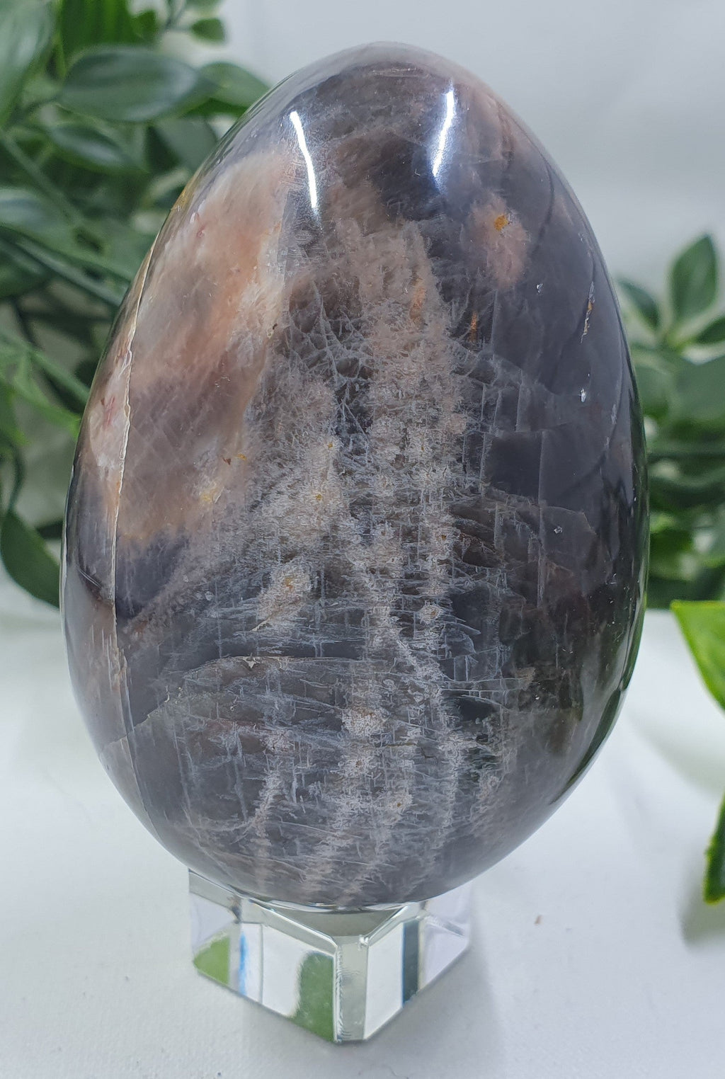 Black Moonstone Egg #1