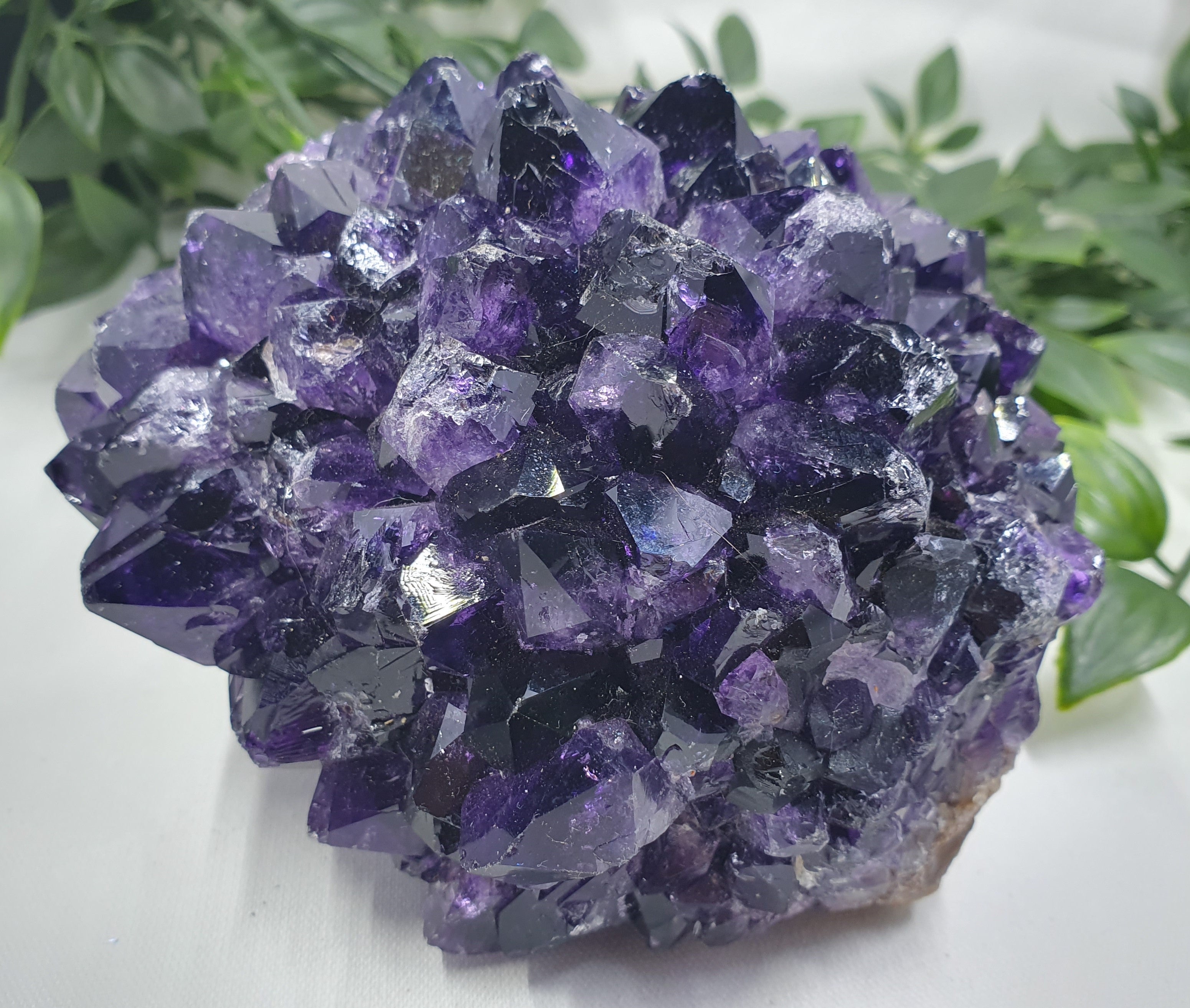 Amethyst Cluster