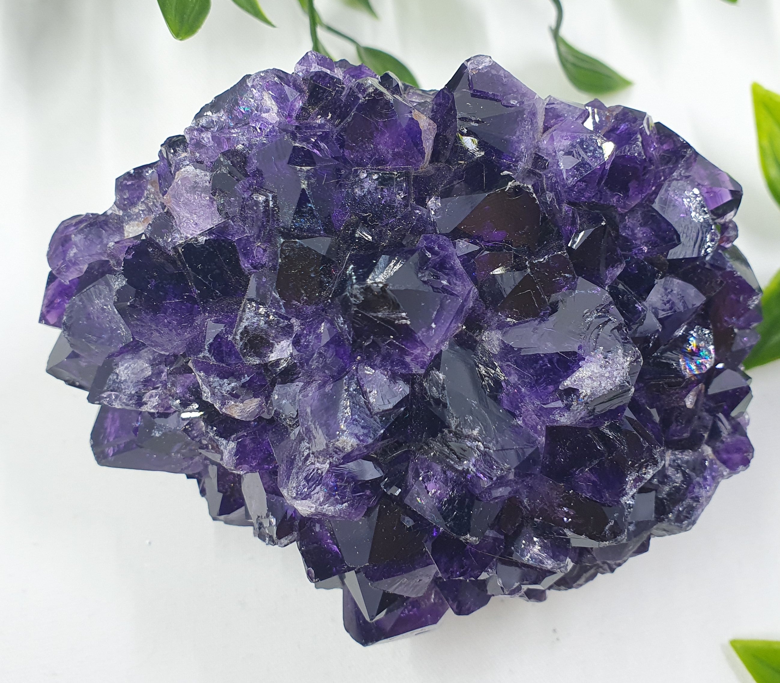 Amethyst Cluster