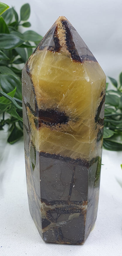 Septarian Points #3