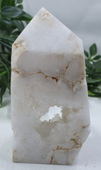 Clear Quartz Cluster #5