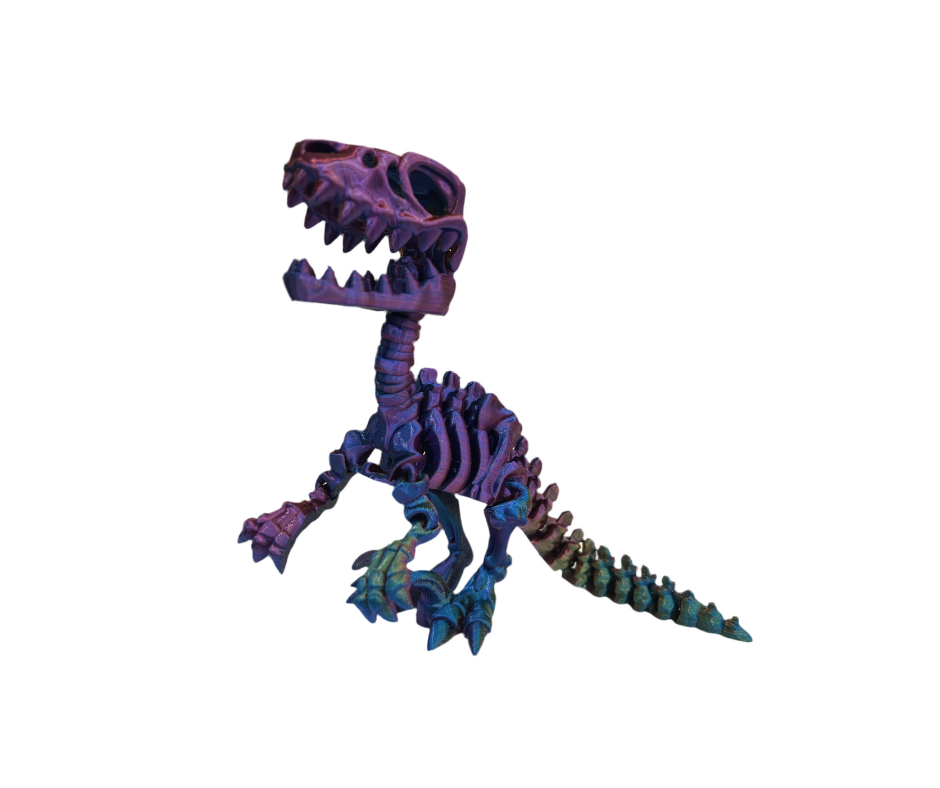 Raptor Skeleton
