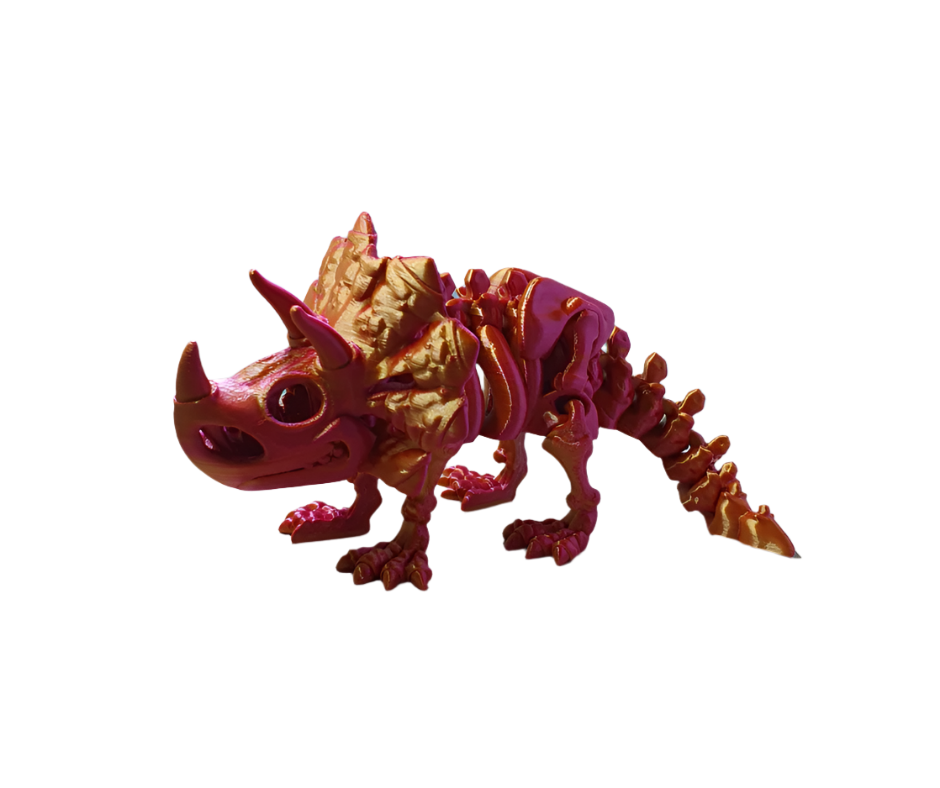 Triceratops Skeleton