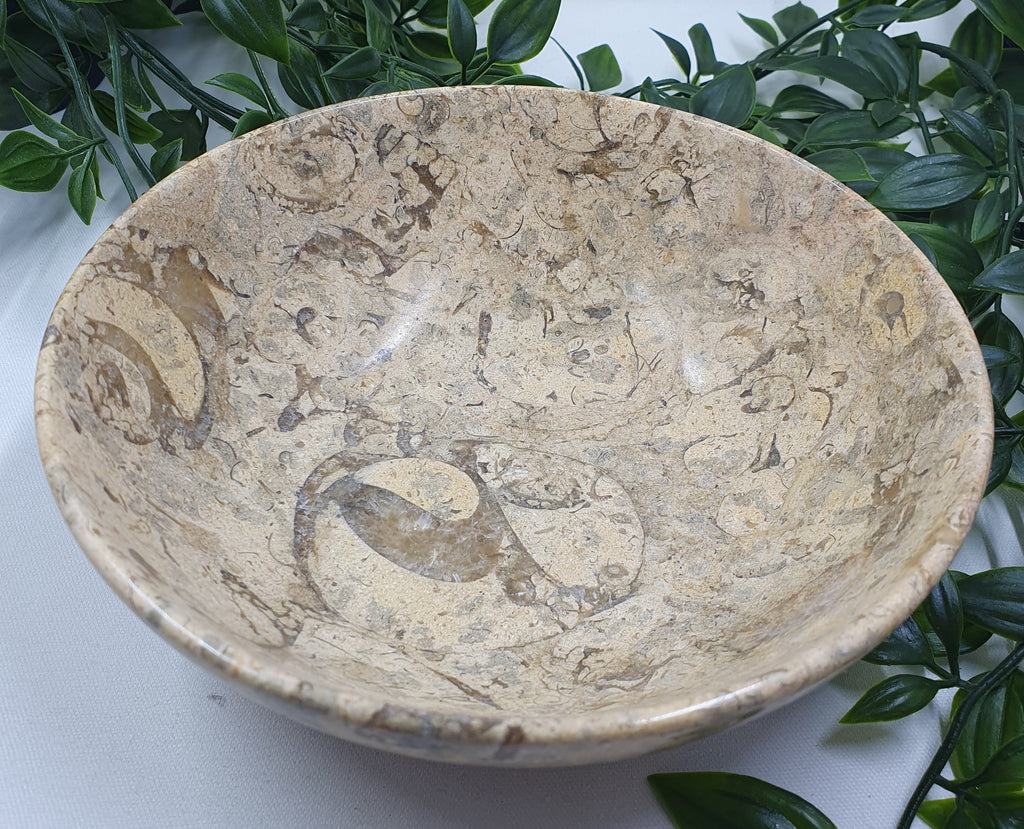 Fossil Coral Bowl #1