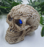 Skulls with Blue Eyes