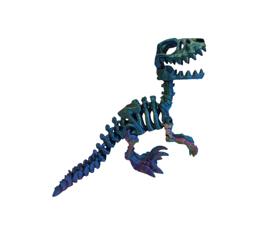 Raptor Skeleton