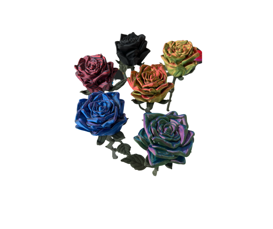 Valentines Roses