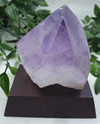 Amethyst Cluster on Wooden Base
