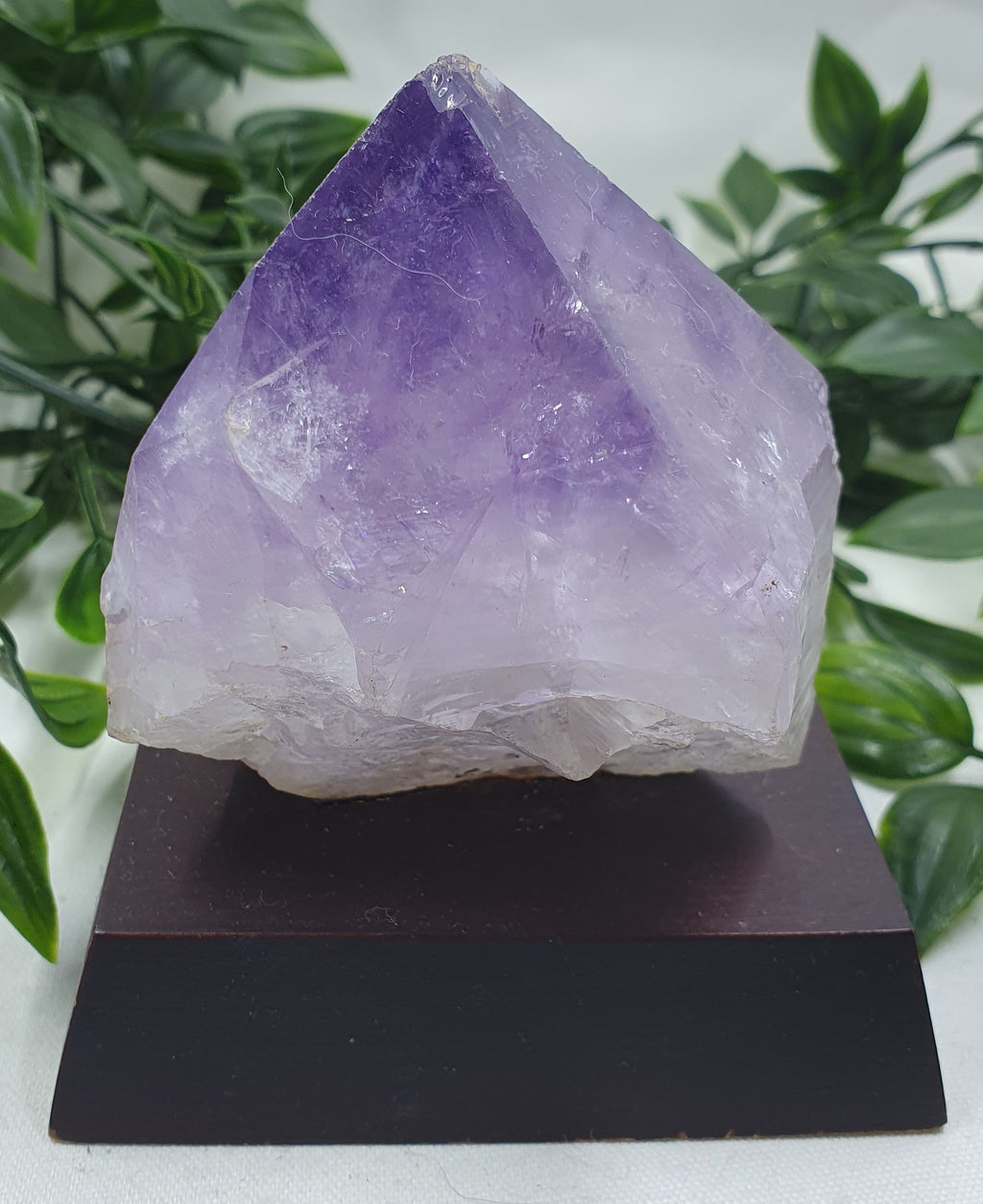 Amethyst Cluster on Wooden Base
